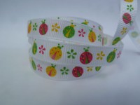 Joaninhas Multicoloridas